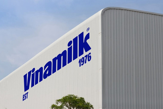 Vinamilk đang tuyển 1 nhân sự mới cho vị trí quan trọng: Yêu cầu tối thiểu 3 năm kinh nghiệm, khuyến khích người người thích thử nghiệm, tạo dấu ấn riêng