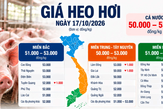Thị trường hàng hóa ngày 17/10: Heo hơi tiếp tục giảm, giá gạo nguyên liệu bật tăng