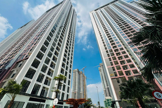 Có 3 tỷ đồng, người trẻ nên mua chung cư hay tiếp tục đi thuê nhà?
