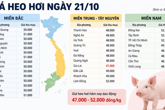 Thị trường hàng hóa sáng ngày 21/10: Heo hơi lao dốc, hồ tiêu neo cao
