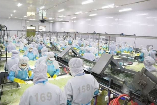 “Ông lớn” sản xuất nha đam, thạch dừa GC Food (GCF) bị phạt gần nửa tỷ đồng vì loạt vi phạm 