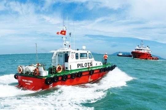 Đề xuất khoản thu mới với doanh nghiệp hoa tiêu: Phí dịch vụ có chịu áp lực tăng?