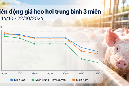 Thị trường hàng hóa ngày 22/10: Heo hơi chưa dứt đà giảm, gạo xuất khẩu bật tăng
