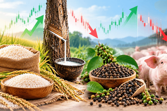 Thị trường hàng hóa tuần qua 19/10 - 25/10: Heo hơi liên tục giảm, gạo xuất khẩu tăng
