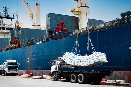 Khủng hoảng Hormuz đe dọa nguồn cung phân bón và an ninh lương thực