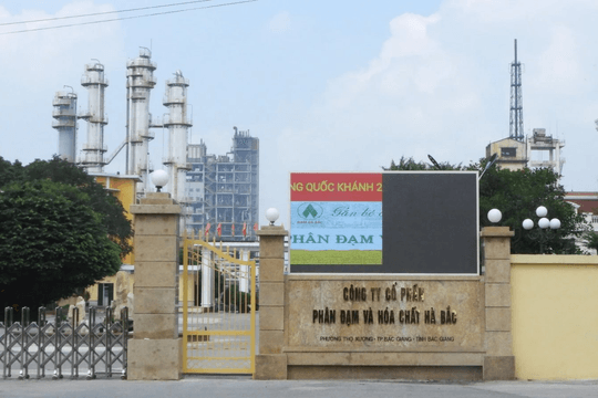 Đạm Hà Bắc (DHB) lãi gần 989 tỷ đồng sau 9 tháng, thu nhập lãnh đạo ra sao?