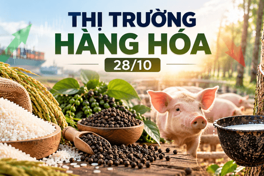 Thị trường hàng hóa ngày 28/10: Heo hơi thủng đáy 44.000 đồng/kg, gạo xuất khẩu tăng giá. 
