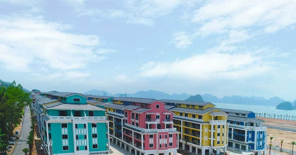 Read more about the article Quảng Ninh: Gia hạn thời gian thuê đất thêm 4 năm cho dự án Sonasea Vân Đồn Harbor City của Tập đoàn CEO