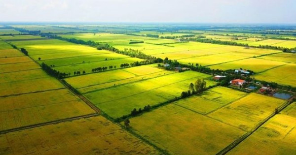 Read more about the article Chuyên gia: “Đầu tư đất nông nghiệp có thể nhân giá 200-500 lần trong 10 năm”