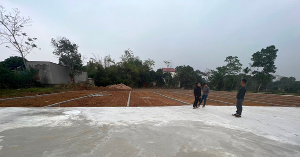 Read more about the article Hà Nội yêu cầu quyết liệt ngăn chặn và xử lý dứt điểm việc chuyển quyền sử dụng đất trái phép, chuyển mục đích sử dụng đất trái phép