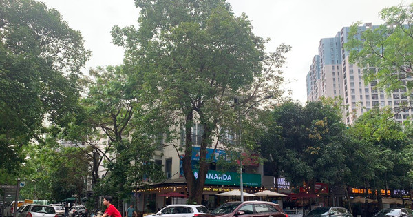 Read more about the article Bỏ 9 tỷ mua nhà phố tại Hà Nội, 8 năm sau giá tăng 11 tỷ, nhà đầu tư tiếc nuối: “Nếu thời đó mua 3 căn shophouse vùng ven, giờ tôi lời hơn 30 tỷ”