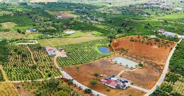 Read more about the article Hai địa phương tại Lâm Đồng cho phép chuyển mục đích sử dụng đất trở lại