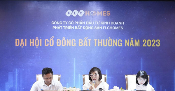 Read more about the article ĐHCĐ bất thường FLCHomes bầu ban lãnh đạo mới: Bà Trần Thị Hương giữ chức Chủ tịch HĐQT