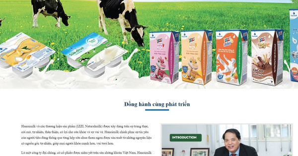 Sữa Hà Nội (HNM) nợ bảo hiểm 16,1 tỷ đồng trong khi Tổng Giám đốc nhận hơn 1,1 tỷ đồng lương và phụ cấp trong năm 2023