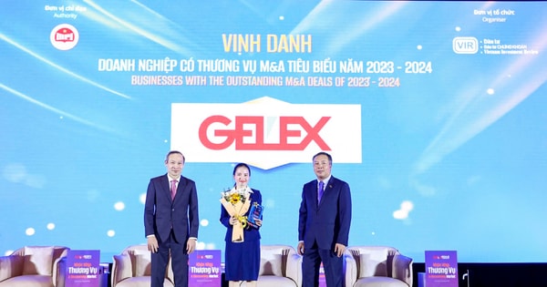 GELEX vinh dự là Doanh nghiệp có thương vụ M&A tiêu biểu 2023-2024