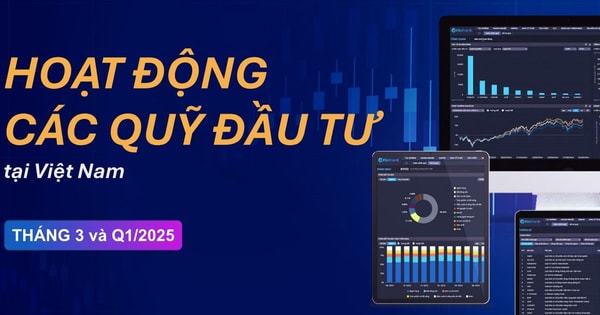 Biến động dòng tiền của các quỹ đầu tư: VIB đứng đầu top mua ròng trong khi FPT bị nhiều quỹ xả nhất