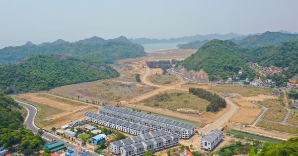 Vinaconex muốn thoái sạch vốn, doanh nghiệp làm dự án Cát Bà Amatina kéo dài hơn 2 thập kỷ đang thế chấp ngân hàng những gì?