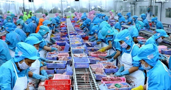 Ngành thủy sản Việt Nam đang "để trống sân nhà”