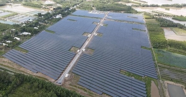 Một công ty điện mặt trời tại Cần Thơ báo lãi trở lại sau chuỗi năm dài “chìm” trong thua lỗ