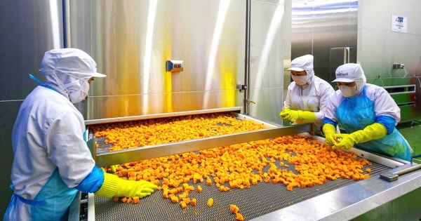 Nhà máy chế biến nông sản hơn 666 tỷ đồng vừa khánh thành tại Cần Thơ: Đưa nông sản Đồng bằng sông Cửu Long vươn ra thế giới