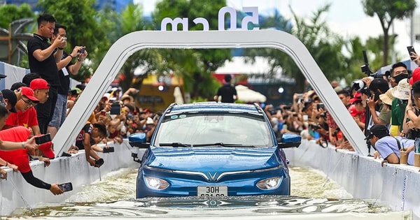 Xe điện VinFast là một trong những chiến thần lội nước sâu khoẻ nhất thị trường