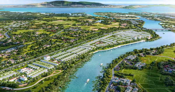 Doanh thu tăng đột biến 19.041%, doanh nghiệp này làm gì mà "tiền vào như nước"?