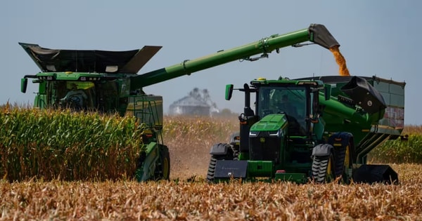 'Nhờ' Việt Nam và Trung Quốc nhưng theo 2 cách hoàn toàn khác nhau, xuất khẩu một mặt hàng nguyên liệu quan trọng của Mỹ sắp lập kỷ lục năm thứ 2 liên tiếp
