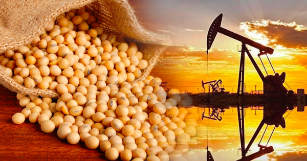 Dòng tiền quay lại, sắc xanh bao phủ thị trường hàng hóa