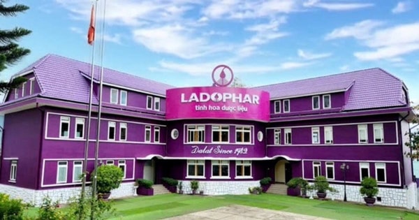 Nữ Tổng giám đốc 1 công ty trên sàn chứng khoán bất ngờ bị sa thải, khởi kiện đòi bồi thường 2 tỷ đồng, toà xử sao?