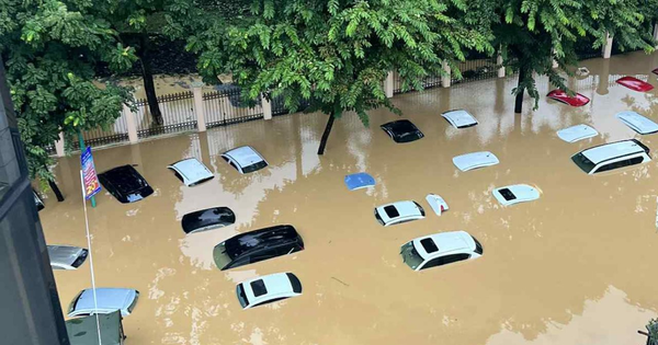 Ở Việt Nam có thứ to bằng cái cặp táp nhưng khắc chế được ngập lụt, rẻ hơn sửa thủy kích hàng chục lần