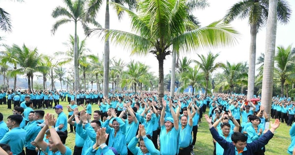 Một dự án tại Việt Nam biến điều chưa từng có tiền lệ thành sự thật, 100.000 người đã có nghề chính danh