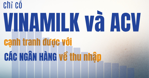 20 DN lớn nhất: Chỉ Vinamilk và ACV trả lương bình quân trên 30 triệu/tháng, cạnh tranh với Ngân hàng, công ty nào có thu nhập 70,5 triệu/tháng?