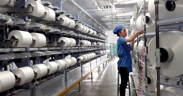 'Cú đấm' của tỷ giá khiến công ty sợi trên sàn giảm 87% lợi nhuận trong quý 3