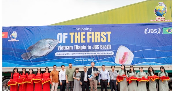 Đơn hàng 700 tấn cá rô phi Việt Nam lần đầu vào Brazil: Ai đứng sau?