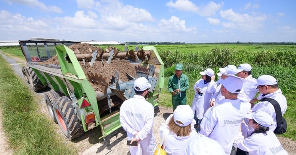 Mở khóa tự nhiên bên trong "resort bò sữa" của Vinamilk: Robot phục vụ thức ăn, phát nhạc cho bò, biến phân bò thành phân bón hữu cơ, biogas thanh trùng sữa cho bê