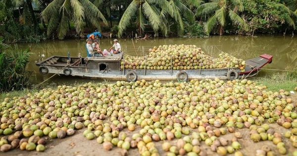 Đặc sản triệu đô của Việt Nam bất ngờ lao dốc cực mạnh: Vì sao nên nỗi?