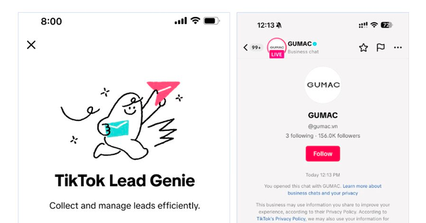 Chatbot AI trong tin nhắn của TikTok có tác dụng gì?