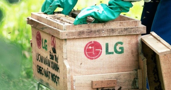 Đại sứ Cộng đồng LG 2025: Hành trình cùng cộng đồng kiến tạo tương lai bền vững