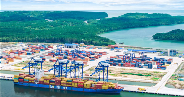 Sở hữu cảng 11.000 tỷ vẫn không được phép nhập khẩu mặt hàng quan trọng, Đồng Nai quyết "xin" quyền