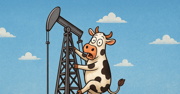 Một cổ phiếu tăng trần 5 phiên liên tiếp, doanh nghiệp nói gì?