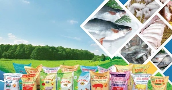 Động thái mới của ông lớn xuất khẩu gạo An Giang