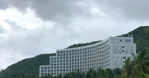 17 con vịt bị lũ cuốn trôi vào resort của ông Phạm Nhật Vượng: Vinpearl Nha Trang tổ chức thi đặt tên, thưởng 17 cặp vé