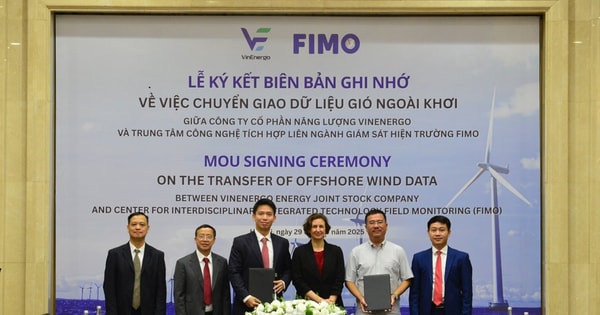 VinEnergo của tỷ phú Phạm Nhật Vượng có "tướng" mới: Là người cũ của VinaCapital