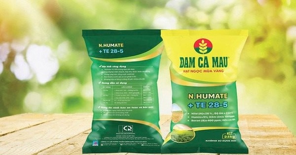 Đạm Cà Mau nâng gấp đôi chỉ tiêu lợi nhuận 2025 lên 1.448 tỷ đồng