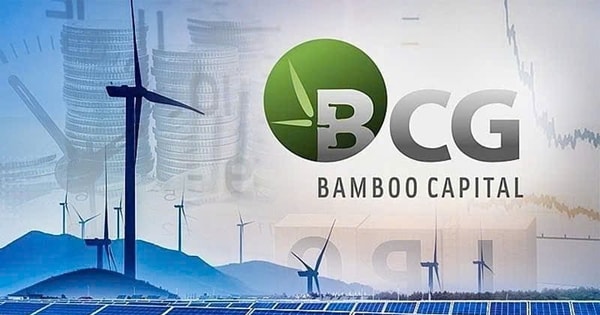 Bamboo Capital báo tin buồn: Ước lỗ 8.400 tỷ đồng sau loạt biến cố vì cựu lãnh đạo vướng lao lý