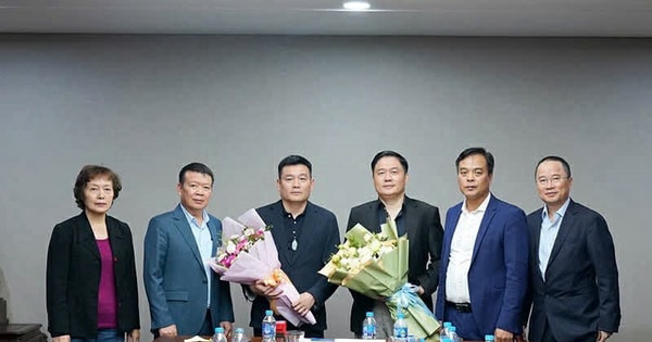 Biến động thượng tầng tại CONINCO