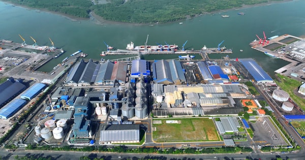 Hai tập đoàn tỷ đô rót thêm 100 triệu USD vào Việt Nam, TP.HCM sở hữu nhà máy dầu dậu nành lớn nhất Đông Nam Á