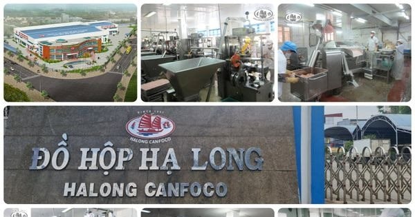 Đồ hộp Hạ Long (CAN) đầu tư hơn 166 tỷ đồng để đầu tư nhà máy mới tại Hải Phòng