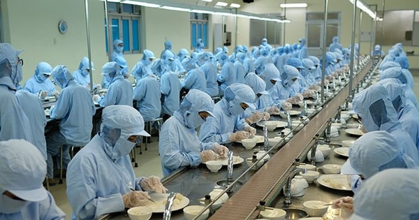 Một doanh nghiệp nhà nước giải thể 11 đơn vị và công ty con