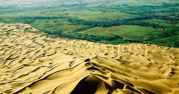 Kỳ tích gọi tên Trung Quốc: trồng 100 tỷ cây xanh dựng ‘vạn lý trường thành’ chặn đà mở rộng của 2 sa mạc khổng lồ, tăng 10% diện tích rừng của Trái Đất